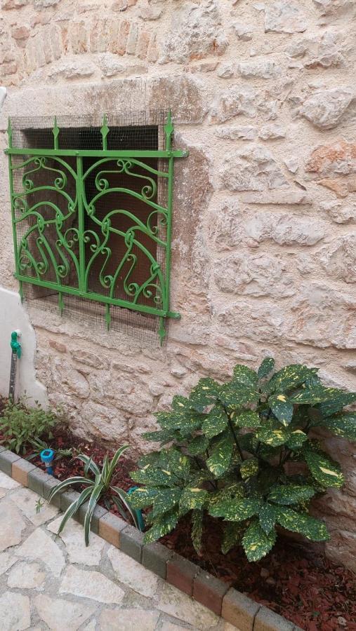 Apartment With Garden In Rovinj